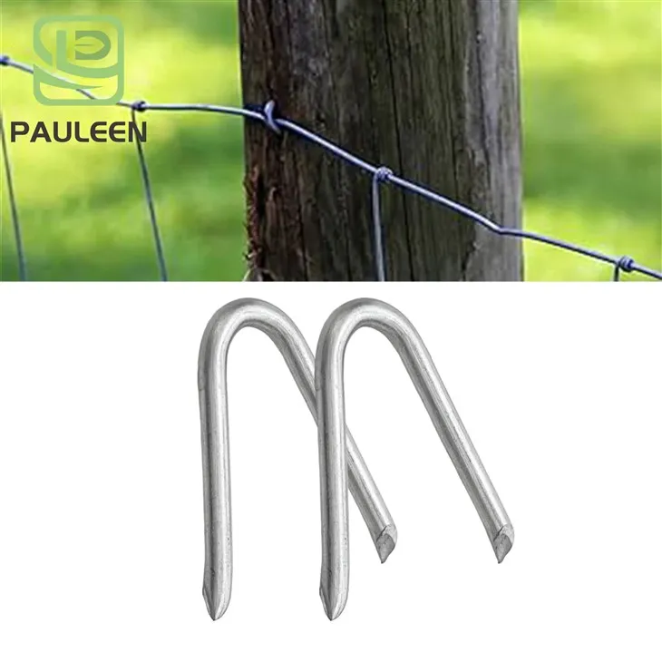 Galvanised U Nails Galvanised U Nails