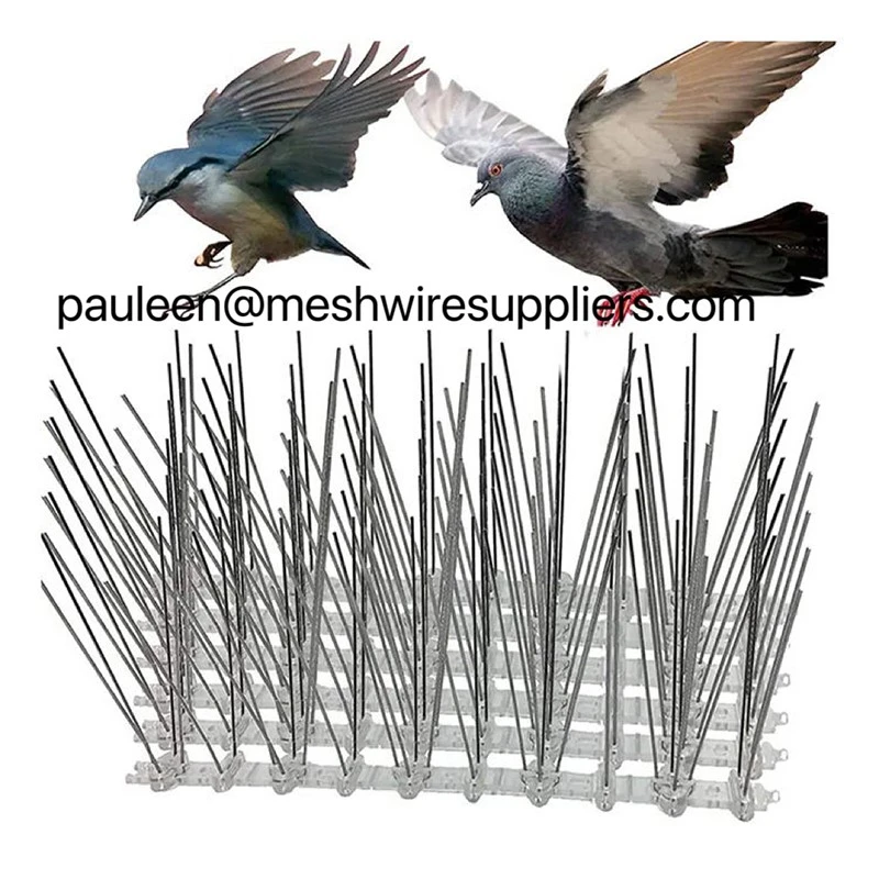 product-800-800